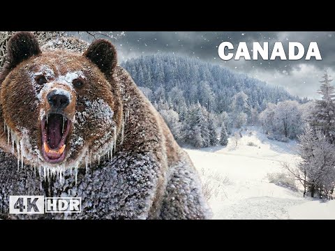 Frozen Canada