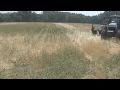 Planting Notill Beans In The Hill Ground