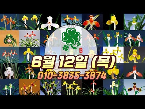 유튜브 썸네일