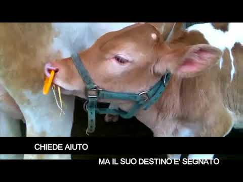 Smetterò di bere per fumare giurerò sport per giocare Cliniche su lotta contro alcolismo