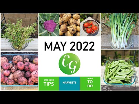 Gardening EPIC Garden Harvests FALL Organic Gardening Prep Garden Tour