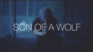 Son of a Wolf (Powerwolf) | Geralt Tribute | The Witcher Netflix