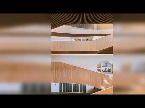 Diviners, IZECOLD & Tim Beeren - This Time (ft. CRVN & Molly Ann) | Music Beat SONG For you