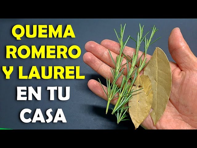 Pronúncia de vídeo de romero em Espanhol