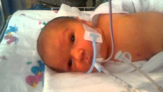 preview picture of video 'Presley Awake and Alert - 5 Days Old'