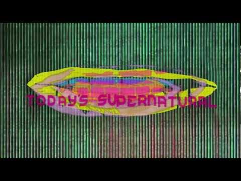 Animal Collective - Today's Supernatural (Official Audio)
