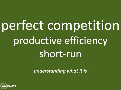 Productive Efficiency in Perfect Competition  |  IB Theory of the Firm  |  Market Power
