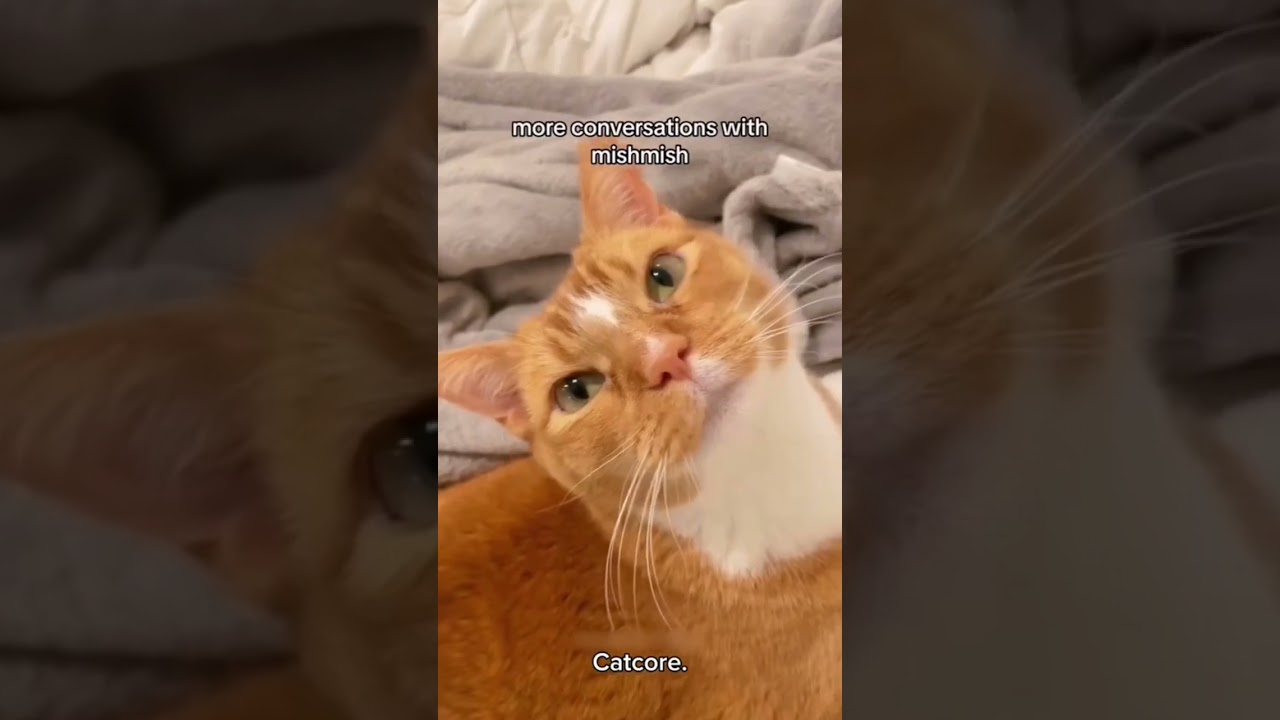 ��������� ����� �� ����� - ��� ������ ����