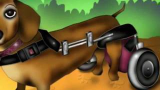 Frankie the Walk N'Roll Dog