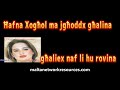 Amanda Bugeja -  Hafna Xoghol Ma Jghoddx Ghalina Pt 2 Unofficial Lyrics Video 2021 Edition