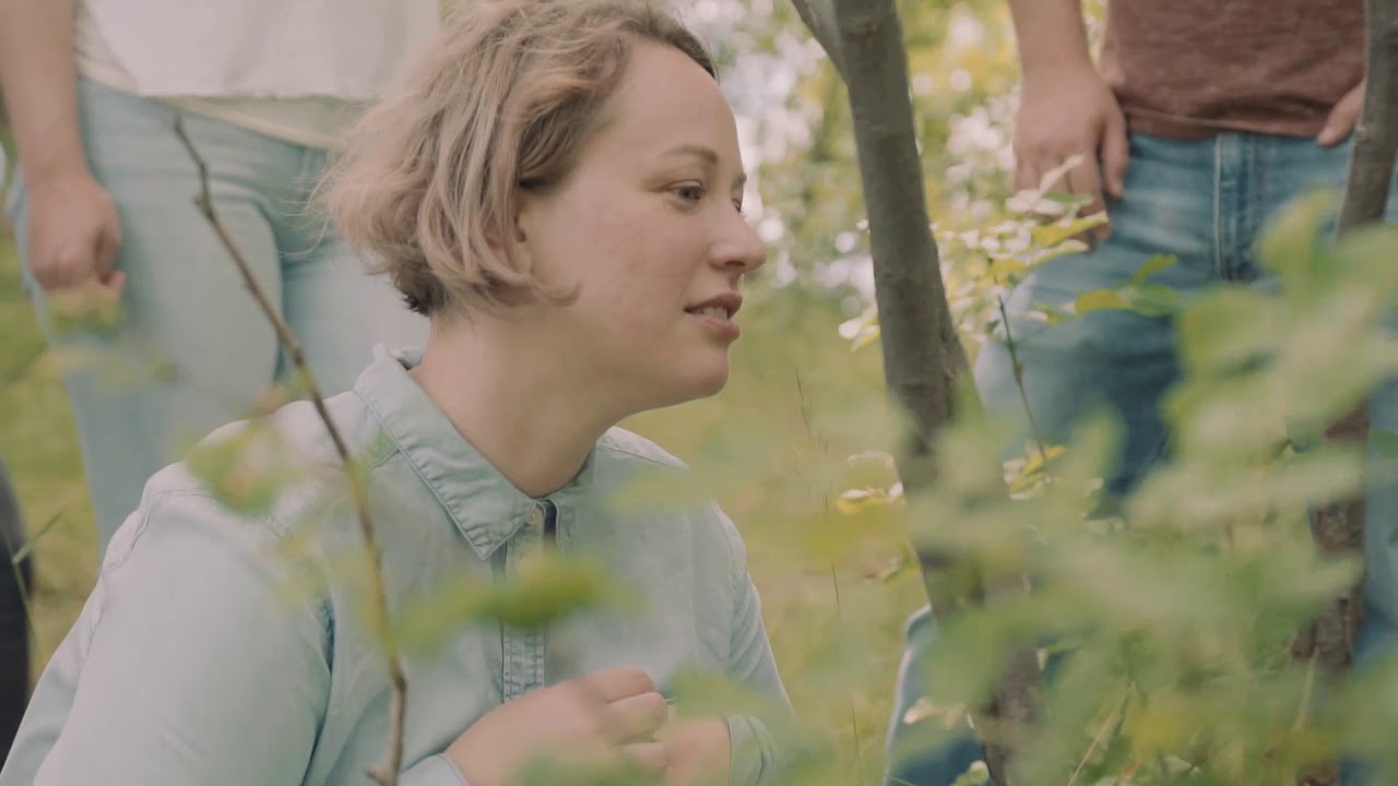 Truffle Hunting Slovenia A guided hunt for the world’s most prized