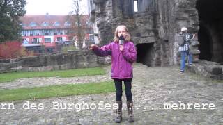 preview picture of video 'FOTO FUN - Burg Friedewald'