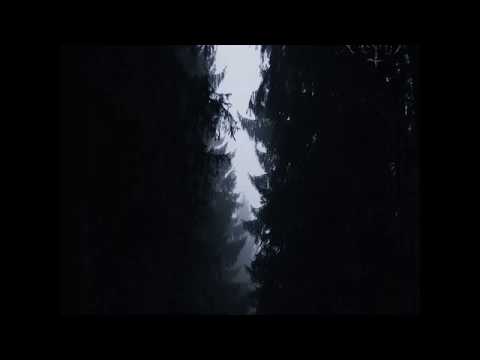 Forest Obscurity - Nocturnal Addiction