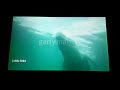 Baby Noah S Animal Adventure Animals In The Outback