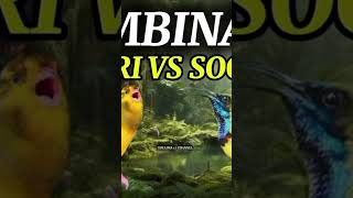 Download lagu KOMBINASI KENARI VS SOGON #masteranburung #masteranjernih #kenari #sogon mp3