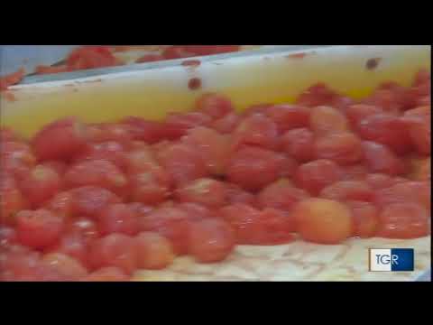 Lo stabilimento di Albinia festeggia 50 anni