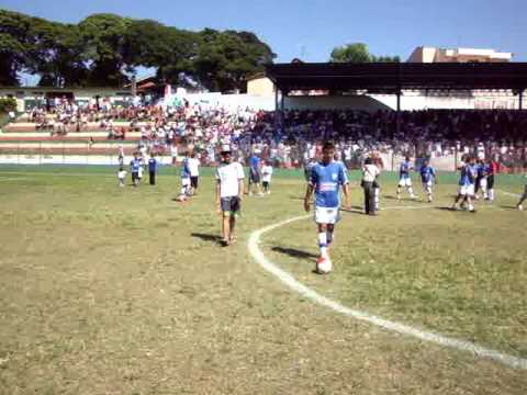 AMADOR  2010 (BEIJA-FLOR BI CAMPEÃO)