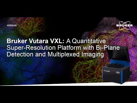 Bruker Vutara VXL: A Quantitative Super-Res Platform with Bi-Plane Detection and Multiplexed Imaging
