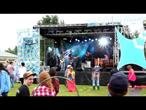Peter Prince and the Trama Unit: 2014-06-13 - Disc Jam Music Festival [HD]