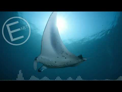 EigenARTig - DEEP SEA (Electronic Ambient)