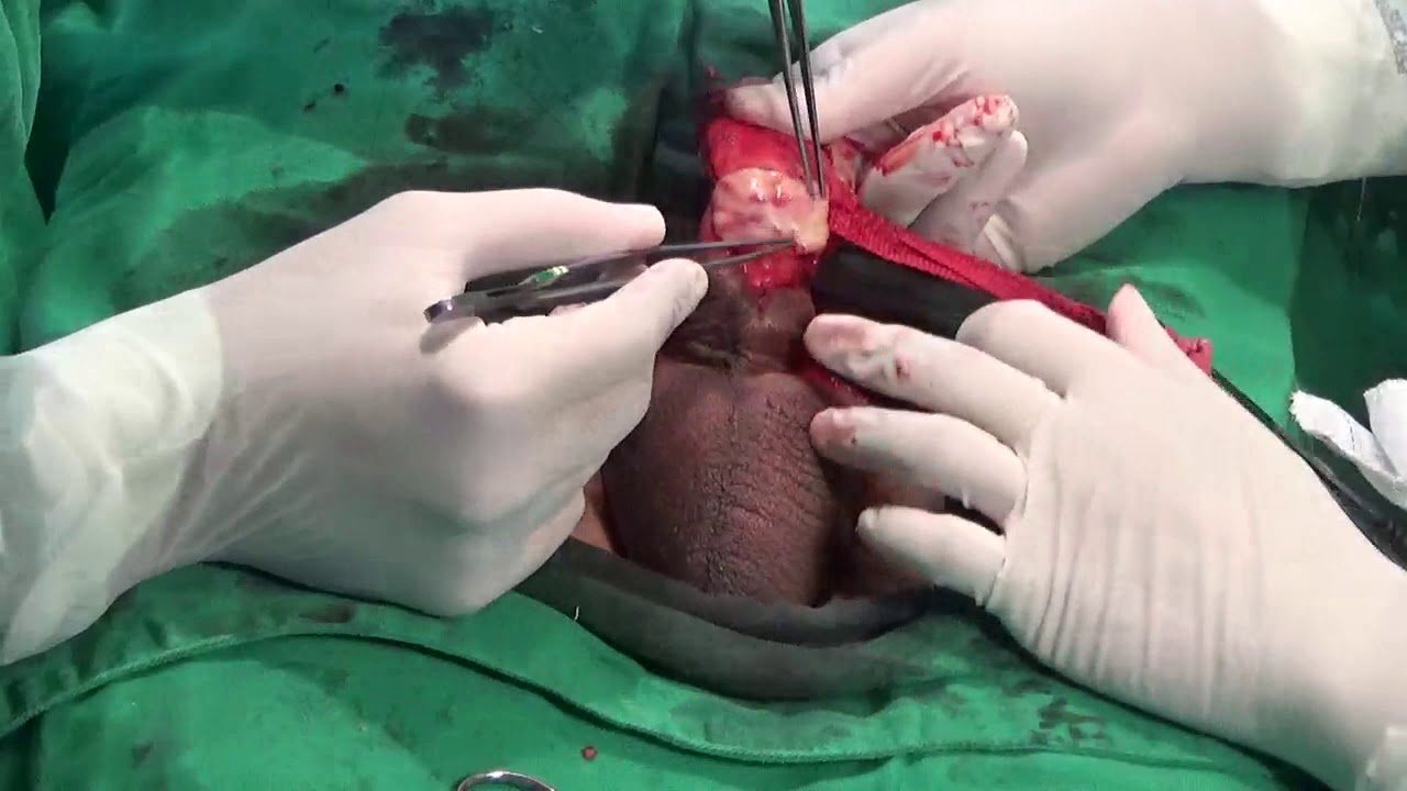 Luis Otávio Pinto-10