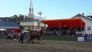 preview picture of video 'Concours de tir de chevaux à St-Honoré-de-Témiscouata'