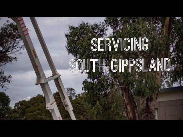 Trimmer Tree - Wonthaggi, VIC