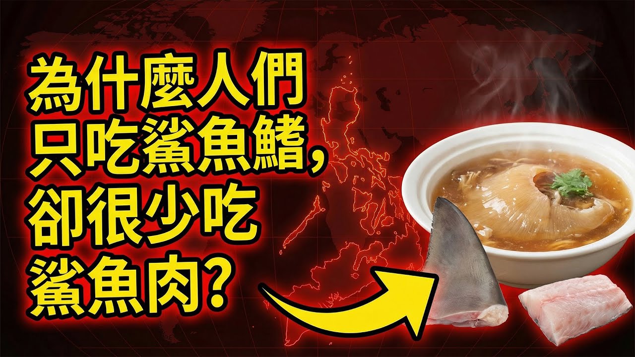 為什麼人們只吃鯊魚鰭，卻很少吃鯊魚肉?