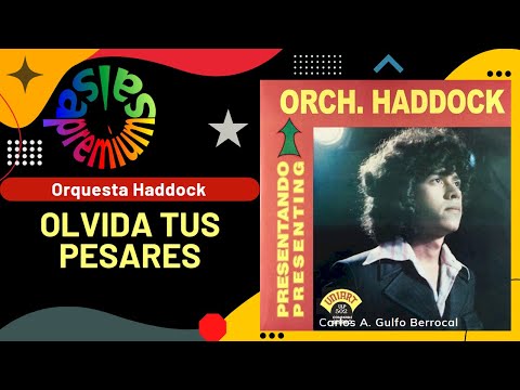 🔥OLVIDA TUS PESARES por ORQUESTA HADDOCK con SERGIO CARIÑO - Salsa Premium