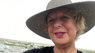 Marjorie’s Musings: Learning That I Don’t Have to Fix Anything
