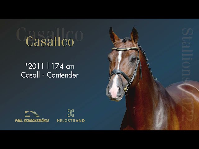 The father of this Frozen Embryo is the CSI 1.60m jumping stallion Casallco with rider Philip RÜping.