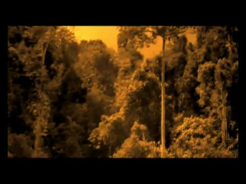 Mursel Murseli - Nuse me lot.avi