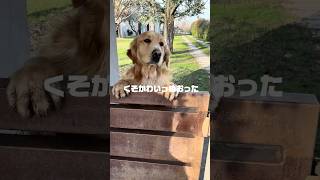 2026年早々ついてない　#スイス #海外在住日本人 #海外移住 #チューリッヒ #イタリア #海外旅行