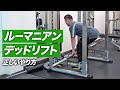 【初心者】ルーマニアンデッドリフトの正しいやり方 | お尻とハムストリングを強く太くする種目【ビーレジェンド プロテイン】