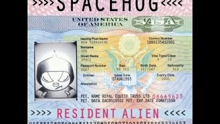 Spacehog - To Be a Millionaire....Was It Likely?