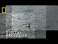 Scotland's Sea Monster  | Drain the Oceans: Secrets of Loch Ness  | National Geographic UK
