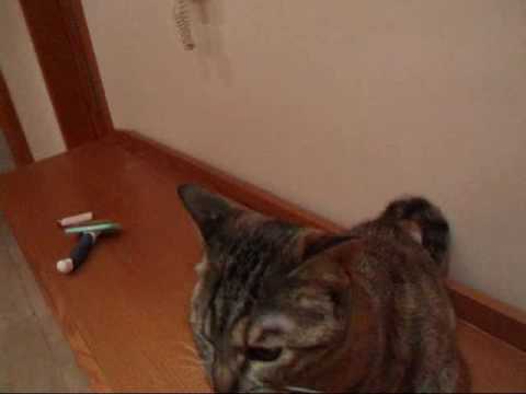 Veruschka loves her treats