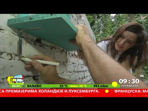 RTS JUTARNJI PROGRAM - Majstorije - Ulepšavanje dvorišta