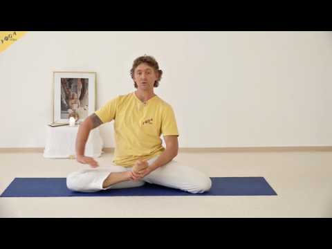 Yogi Stab Stellung - Yoga Dandasana - 84 Hauptasanas - Teil 42