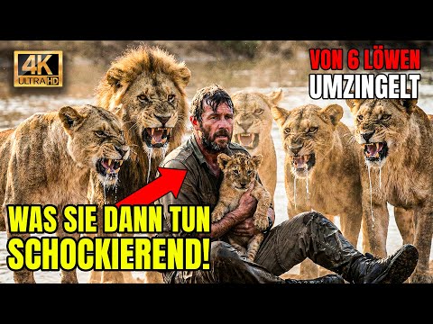 Mann Rettet Löwenbaby – Doch Was Das Rudel Danach Tut, Ist Schockierend