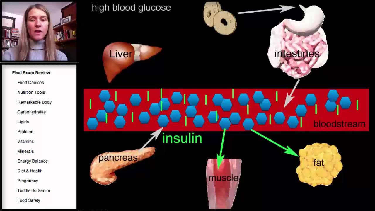 Carbohydrates Final Exam Review Video