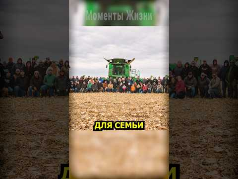 Вдова проснулась от шума техники. За окном стояли десятки незнакомцев.