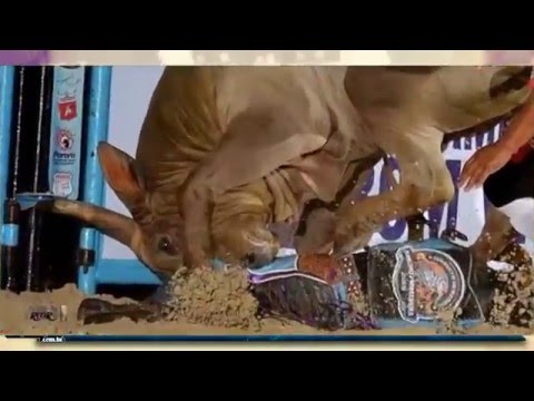 Retrô Quintana 2014 - Melhor touro Abadá