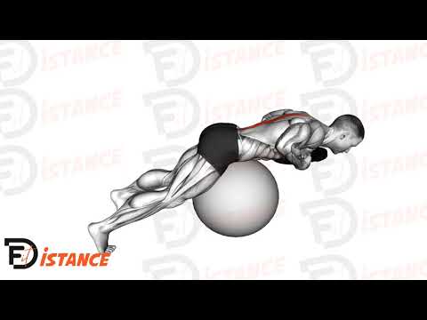 Exercice Hyperextensions sur ballon (Swiss Ball)