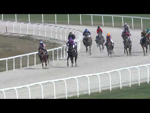 2019.04.07. 04. futam - SÜTVÉNYPUSZTAI HENDIKEP (V/b.) (szintetikus pálya)