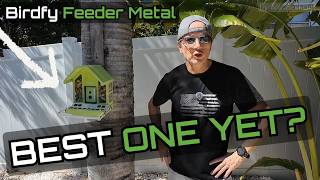 Best Metal Smart Bird Feeder with Camera? (Yeah Looks Like ...) — Birdfy Metal Full Review