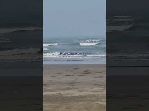 silent beach in Cox's Bazar