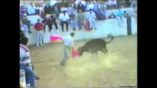 preview picture of video 'Fiestas de Santa Teresa 1995 / El Cubo de Don Sancho'