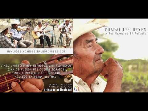 Don Lupe Reyes y los Reyes de El Refugio - Mis compañeros del destino