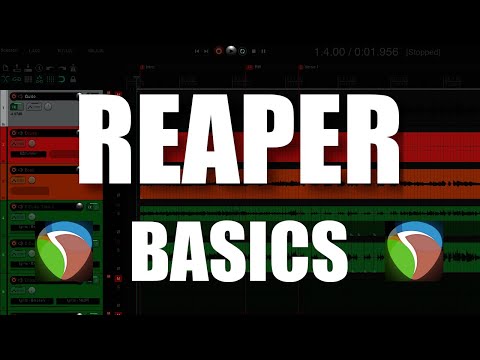 REAPER Basics - The Complete Beginner Tutorial